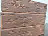 Кирпич лицевой Воротынск М150 1,0НФ красный графит руст (утолщ. лиц. стенка) купить в "Строй-Ресурсе"
